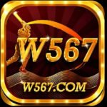 W567 Game