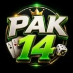 Pak14 Game